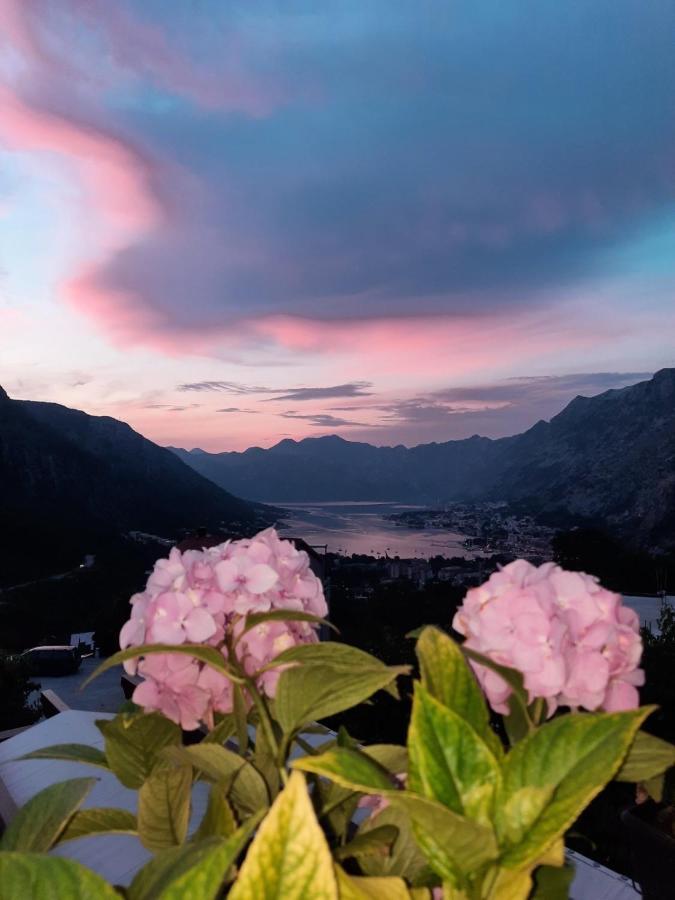 Apartmani Vasilije Κότορ Εξωτερικό φωτογραφία
